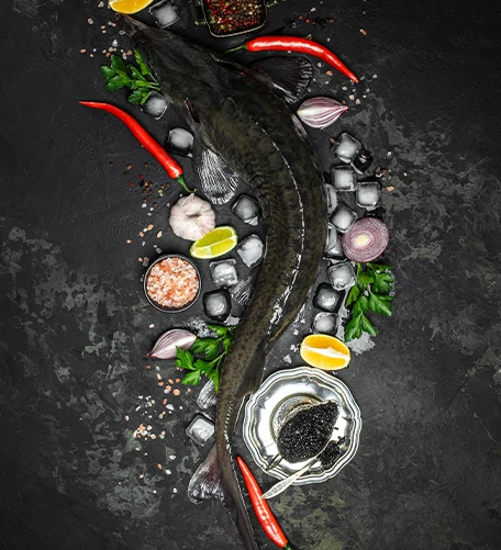 about menu image