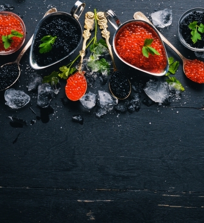 Pairing Perfection: The Best Wines and Champagnes for Black Caviar news image