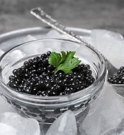 Comment Conserver et Préserver le Caviar pour une Fraîcheur Maximale home Salle de Presse