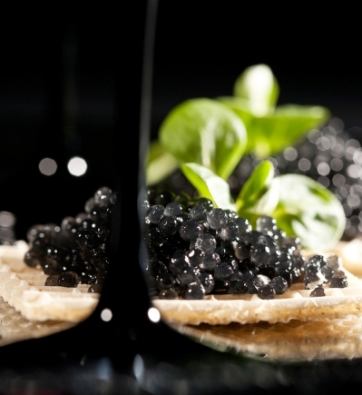 Les Bienfaits du Caviar Noir : Un Superaliment d’Exception home Salle de Presse