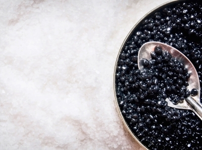 Устойчивое производство икры: как Versailles Caviar сочетает качество и экологическую ответственность related image