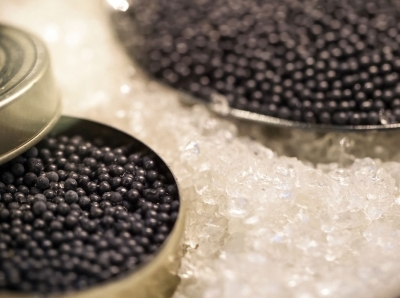 Sustainable Caviar: How Versailles Caviar Ensures Quality & Responsibility image
