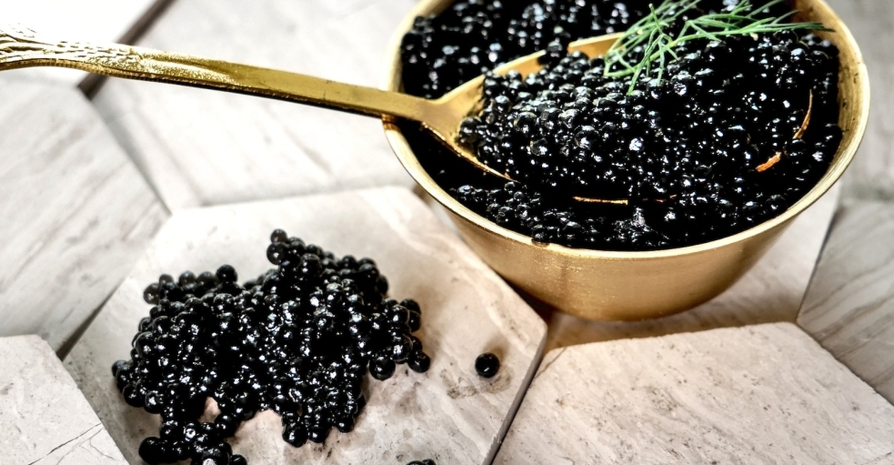 Caviar Durable : Comment Versailles Caviar Allie Qualité et Responsabilité hero image