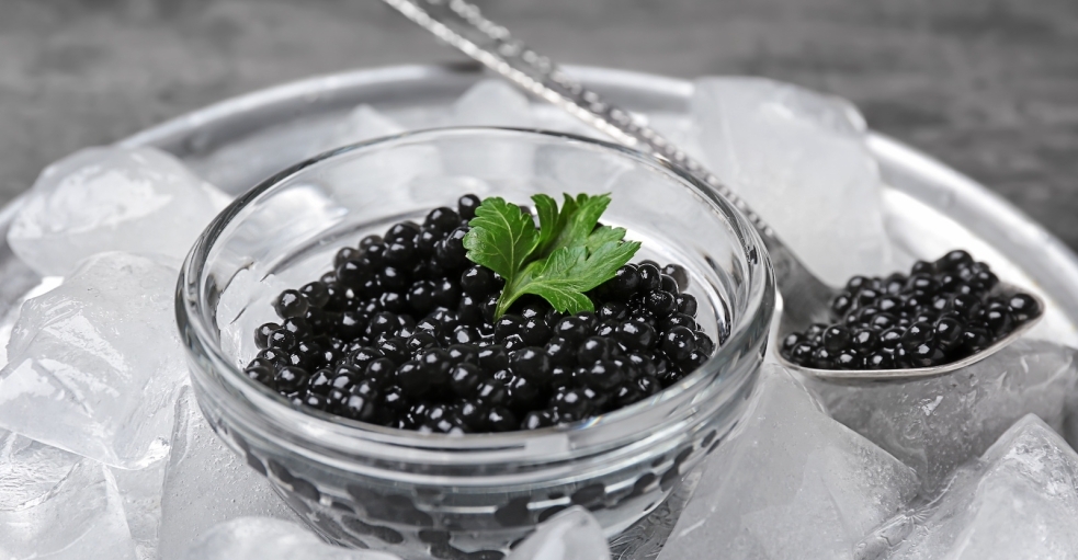 Comment Conserver et Préserver le Caviar pour une Fraîcheur Maximale hero image