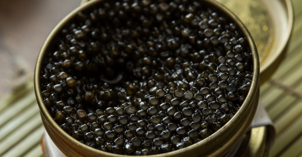 Histoire du Caviar : Des Cours Royales au Luxe Moderne hero image