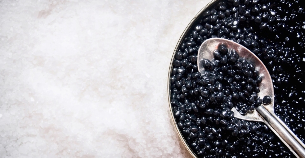 Устойчивое производство икры: как Versailles Caviar сочетает качество и экологическую ответственность hero image