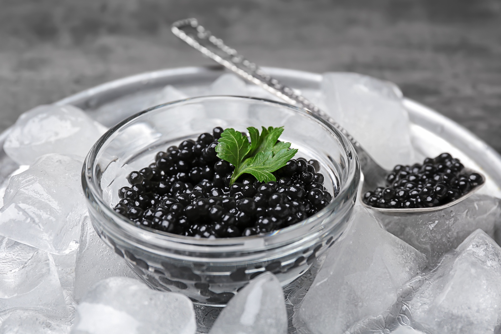 Comment Conserver et Préserver le Caviar pour une Fraîcheur Maximale hero image