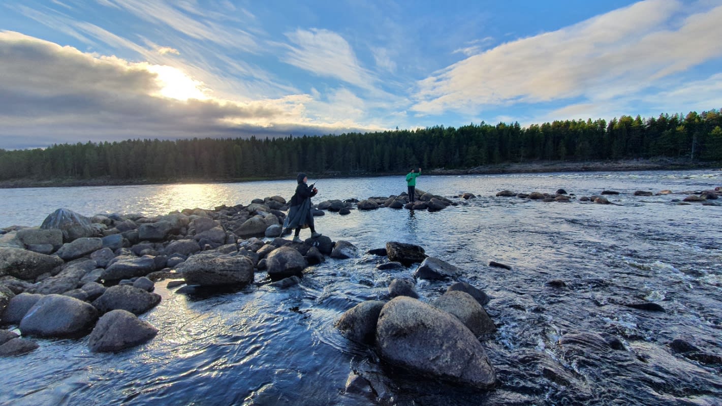 Environmental Challenges and Conservation Efforts